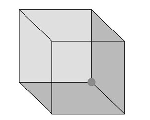 If you stare at a Necker cube, it will appear to shift its orientation.